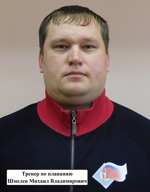 Шмелев н сайт