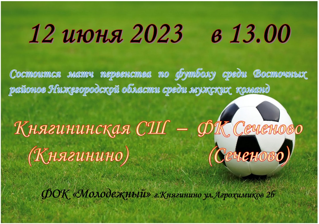 футбол 12